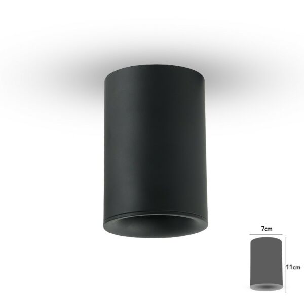 baytonia_main product photo