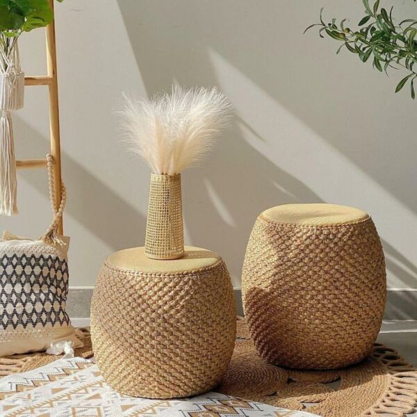 baytonia_main product photo