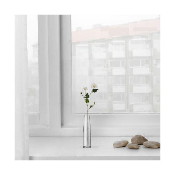 baytonia_main product photo