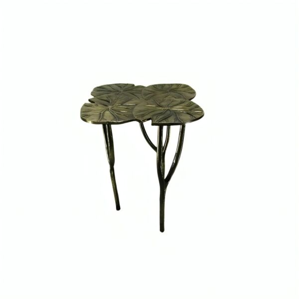 baytonia_main product photo