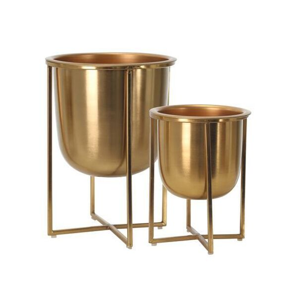 baytonia_main product photo