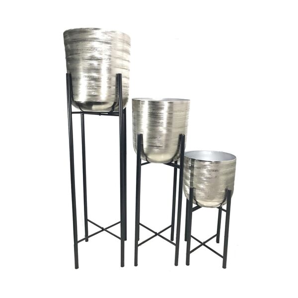 baytonia_main product photo