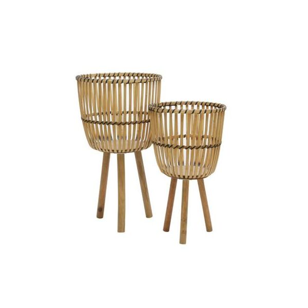 baytonia_main product photo