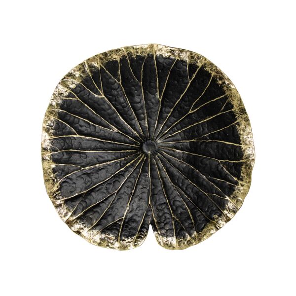 baytonia_main product photo