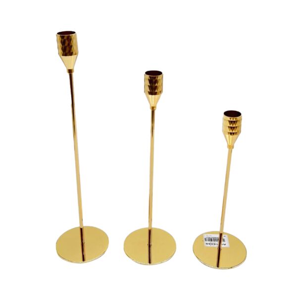 baytonia_main product photo
