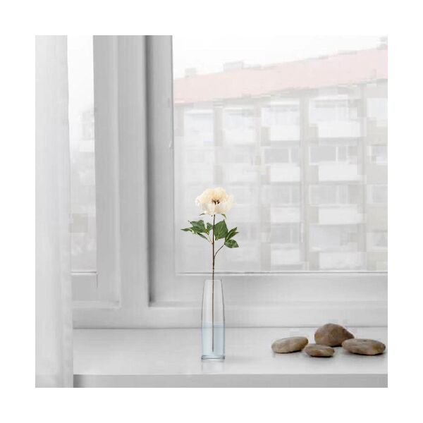 baytonia_main product photo