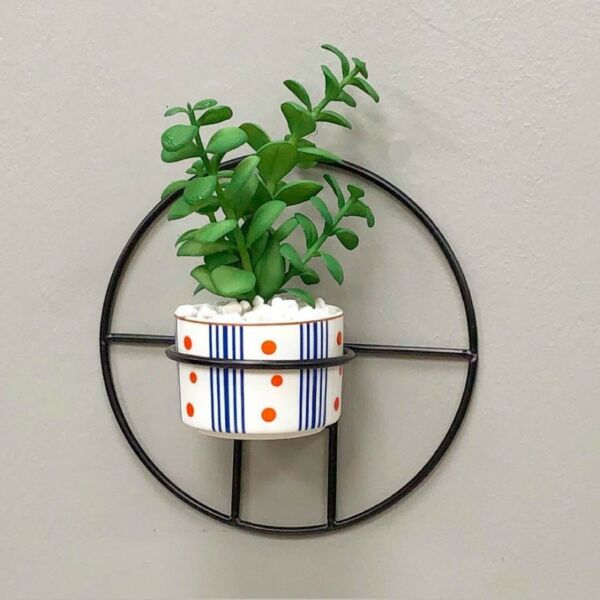 baytonia_main product photo
