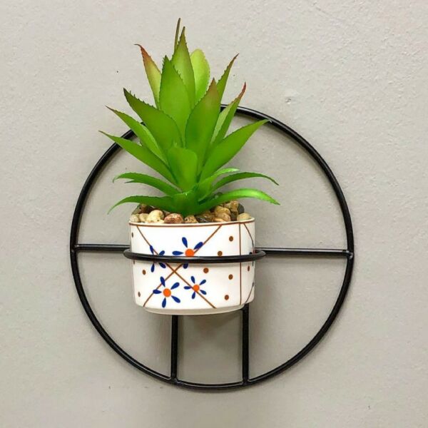 baytonia_main product photo