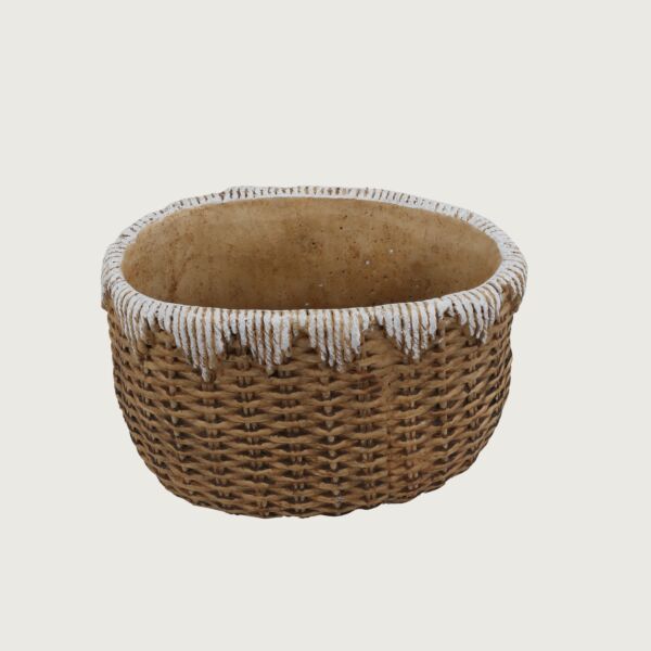 baytonia_main product photo