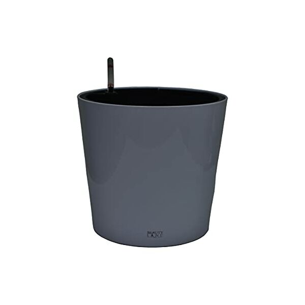 baytonia_main product photo