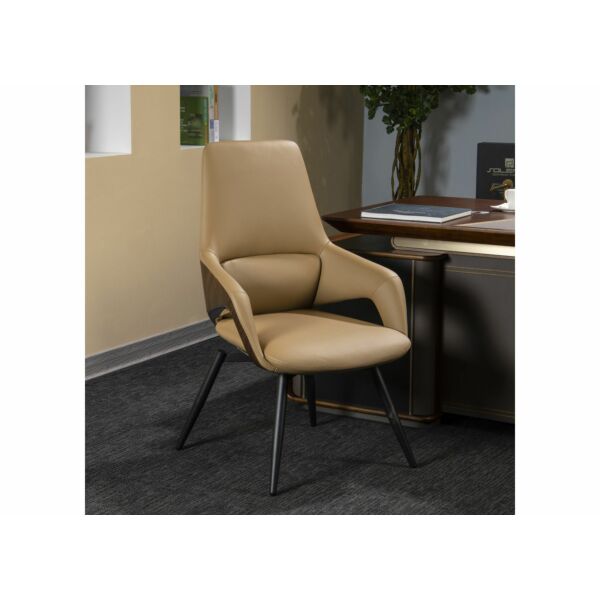 baytonia_main product photo