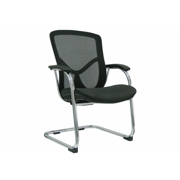 baytonia_main product photo