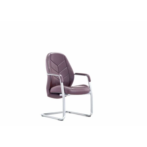 baytonia_main product photo