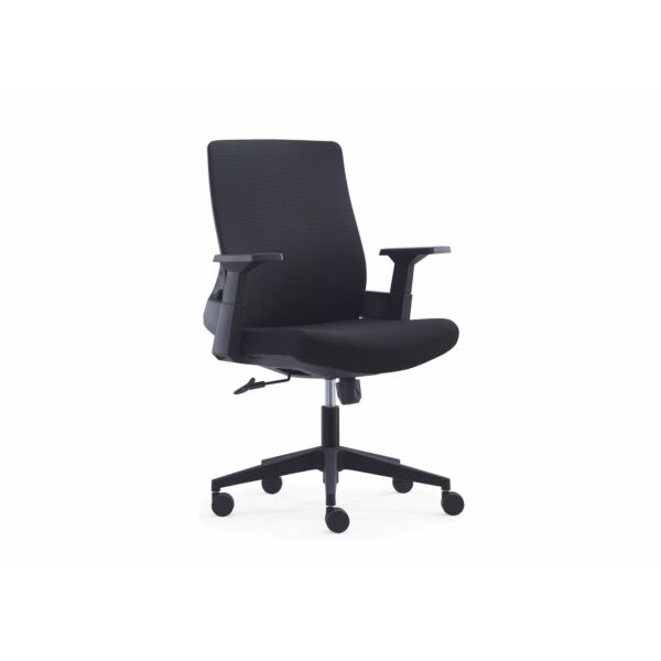 baytonia_main product photo