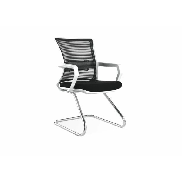 baytonia_main product photo