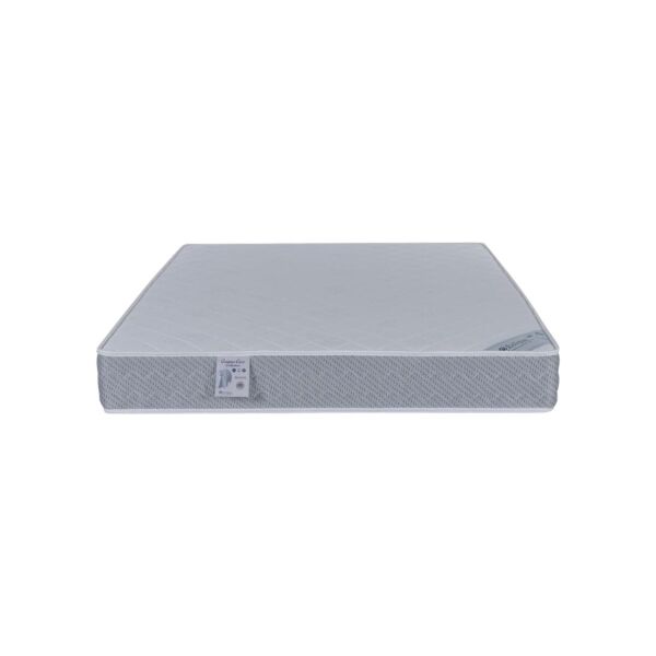 baytonia_main product photo