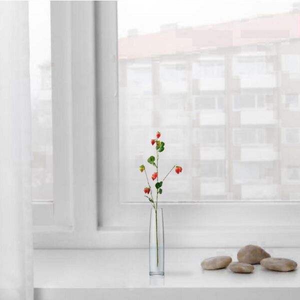 baytonia_main product photo