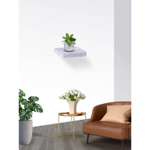 baytonia_main product photo