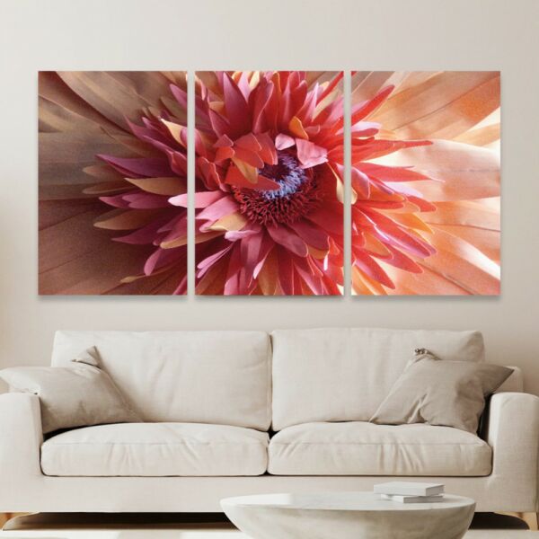 baytonia_main product photo