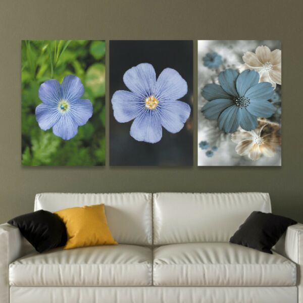 baytonia_main product photo