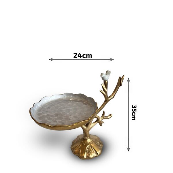 baytonia_main product photo