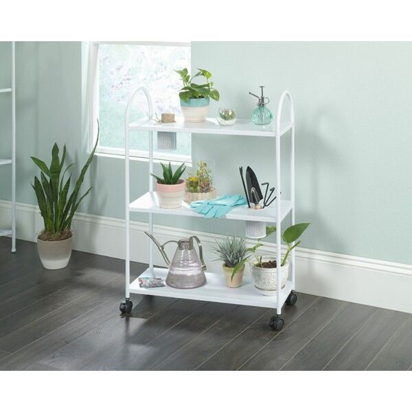 baytonia_main product photo