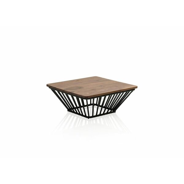 baytonia_main product photo