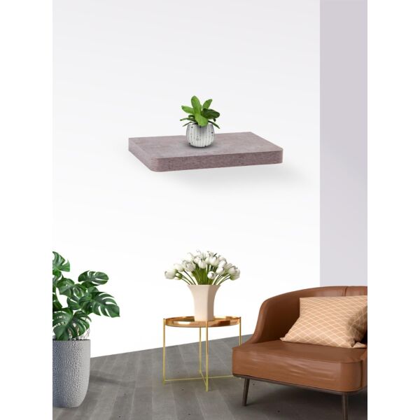 baytonia_main product photo