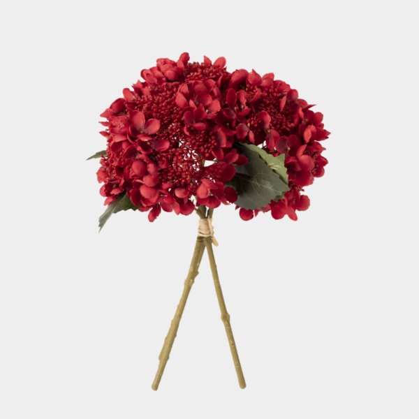 baytonia_main product photo
