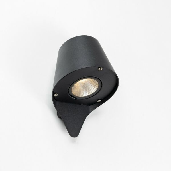 baytonia_main product photo