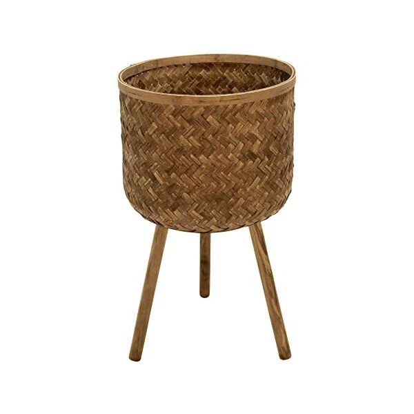 baytonia_main product photo