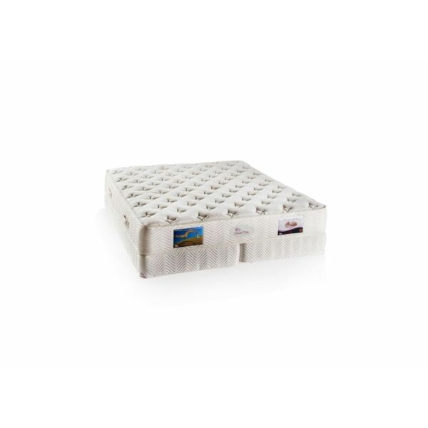 baytonia_main product photo