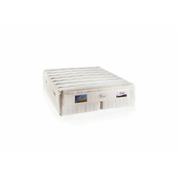 baytonia_main product photo