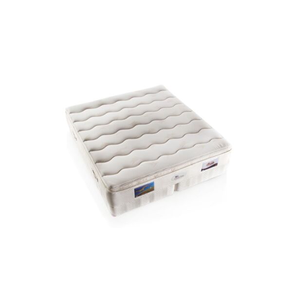 baytonia_main product photo