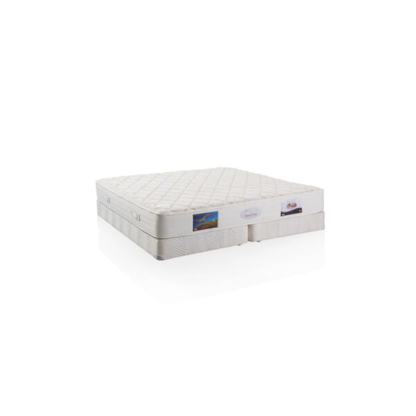 baytonia_main product photo