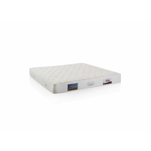 baytonia_main product photo
