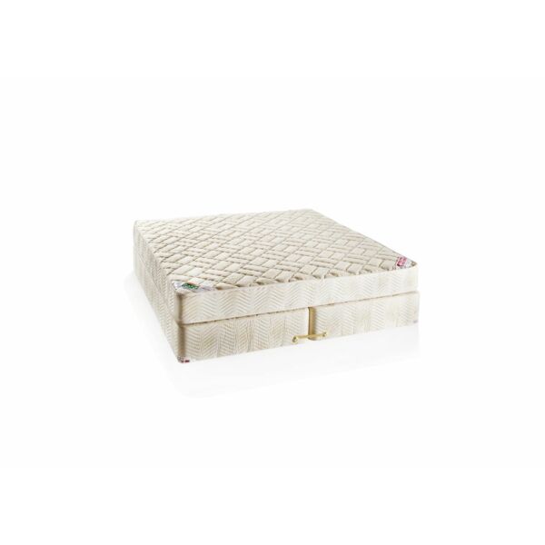 baytonia_main product photo