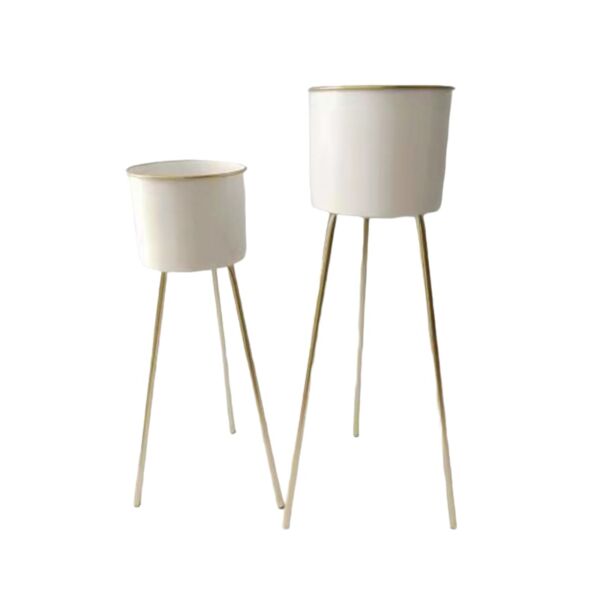 baytonia_main product photo