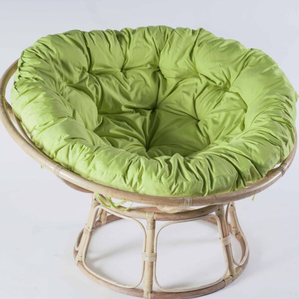 baytonia_main product photo
