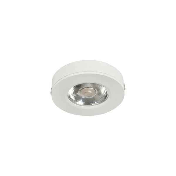 baytonia_main product photo