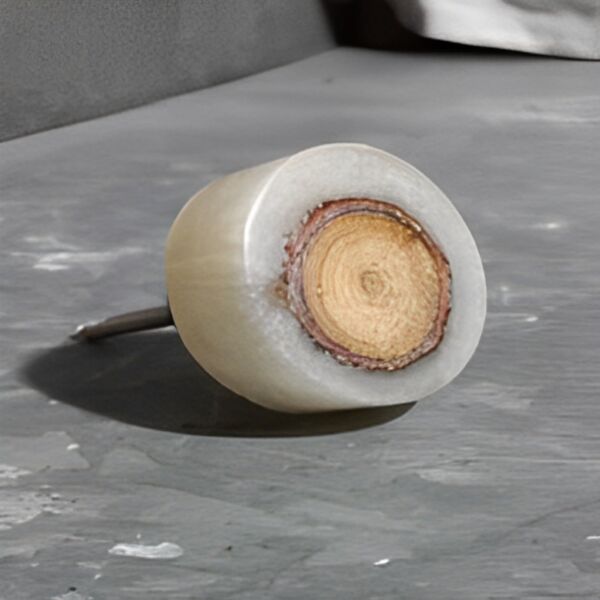 baytonia_main product photo