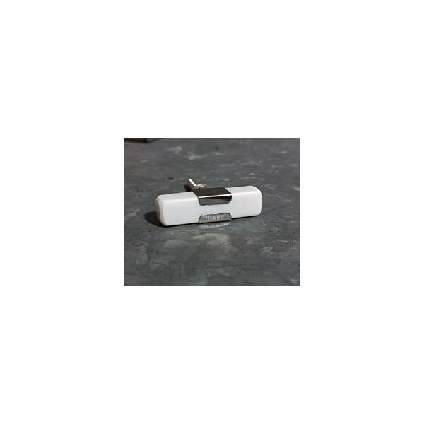 baytonia_main product photo