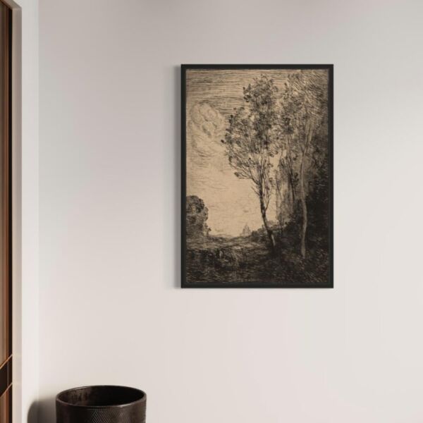 baytonia_main product photo