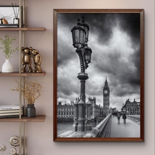 baytonia_main product photo