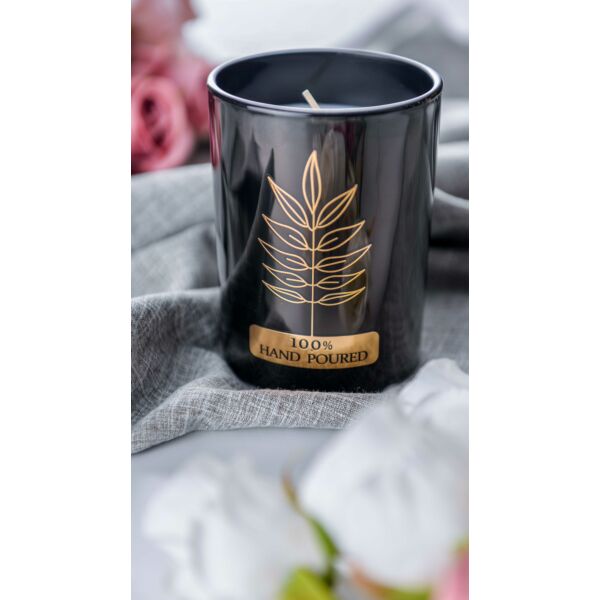 baytonia_main product photo