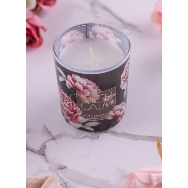 baytonia_main product photo