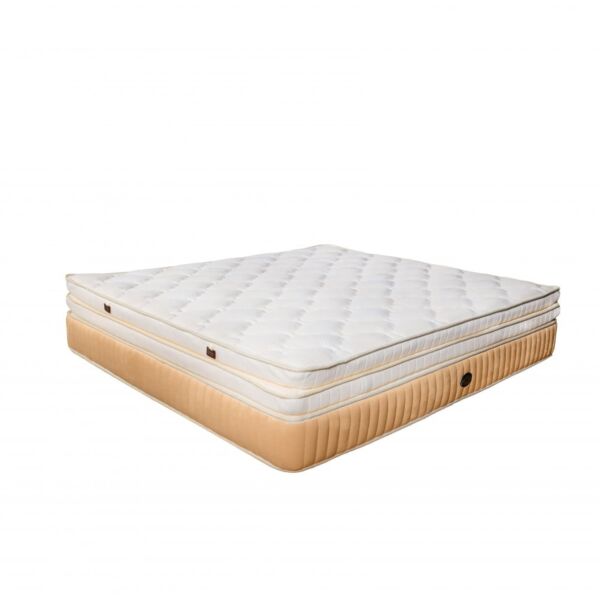 baytonia_main product photo