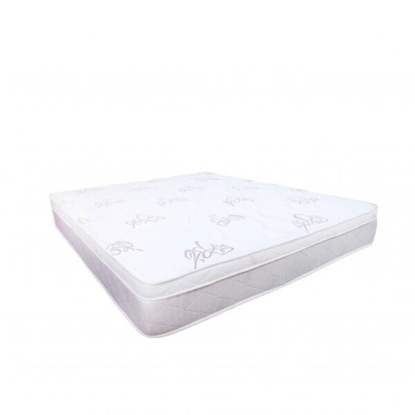 baytonia_main product photo