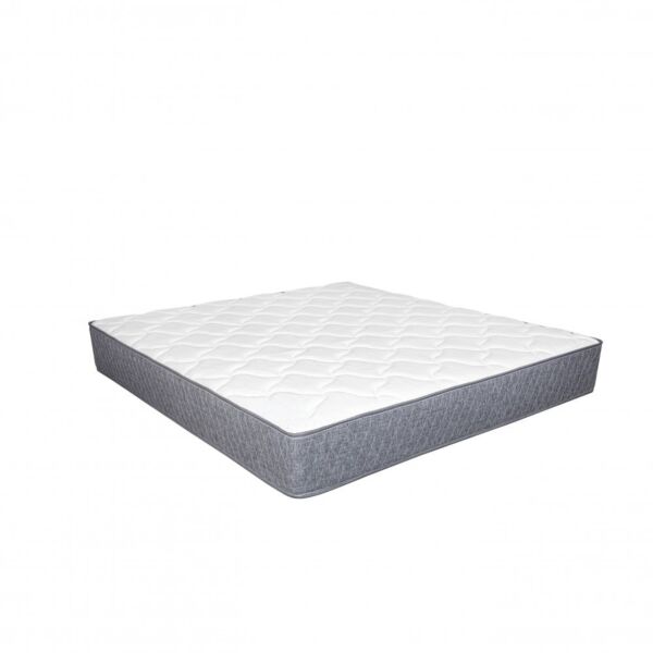 baytonia_main product photo