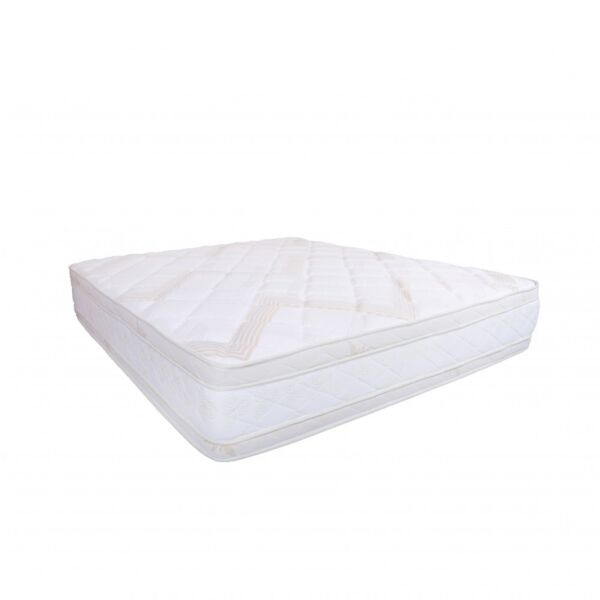 baytonia_main product photo